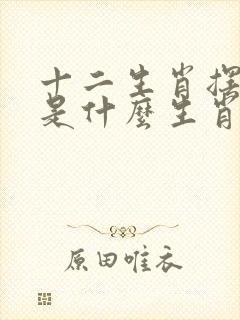 十二生肖摆在前是什么生肖封面