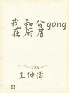 我和公gong在厨房