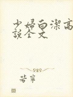 少妇白洁高义小说全文