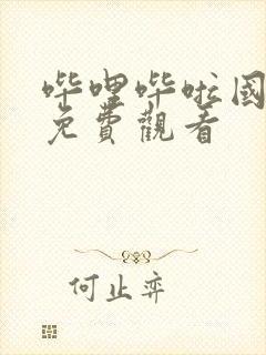 哔哩哔啦国语版免费观看