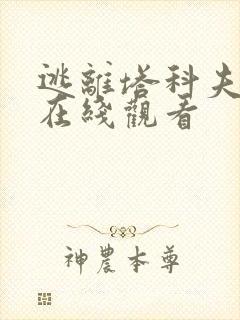 逃离塔科夫电影在线观看封面