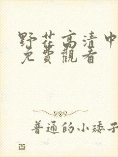 野花高清中文版免费观看