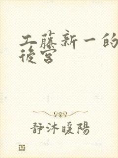 工藤新一的日本后宫