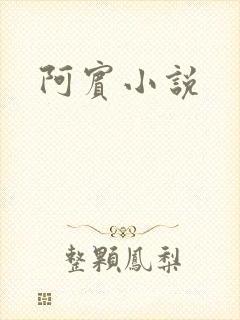 阿宾小说
