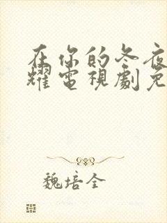 在你的冬夜里闪耀电视剧免费观看封面