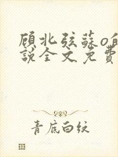 顾北弦苏o的小说全文免费阅读