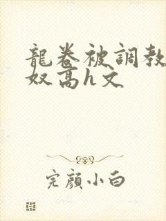 龙卷被调教成肉奴高h文