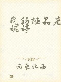 我的极品老婆黄婉婷