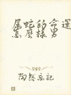 属蛇的命运一生怎么样男