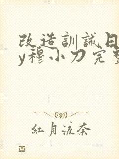 改造训诫日记by穆小刀完整版封面