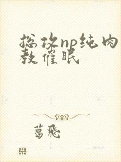 总攻np纯肉调教催眠封面