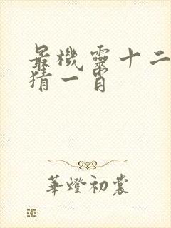 最机灵十二生肖猜一肖