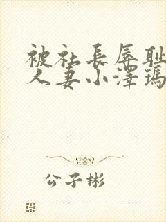 被社长辱耻的美人妻小泽玛利亚封面