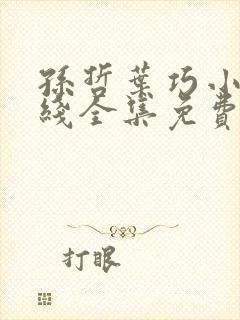 孙哲叶巧小说在线全集免费封面