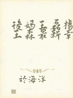 后妈王磊杨晓芬王森最新章节更新封面