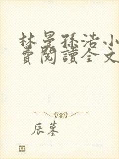 林曼孙浩小说免费阅读全文最新章节封面