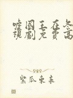 嘘国王在冬眠电视剧免费高清