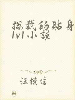 总裁的贴身秘书1v1小说