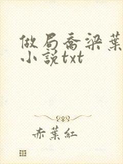 做局乔梁叶心仪小说txt