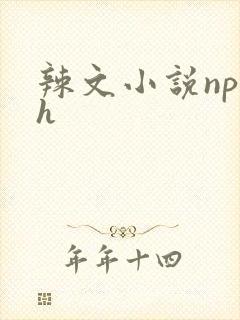 辣文小说np高h封面