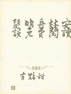 楚明舟林安安小说免费阅读无弹窗