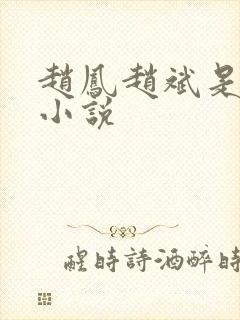 赵凤赵斌是什么小说封面