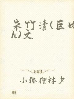 朱竹清(巨肉高h)文