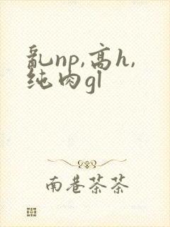 乱np,高h,纯肉gl