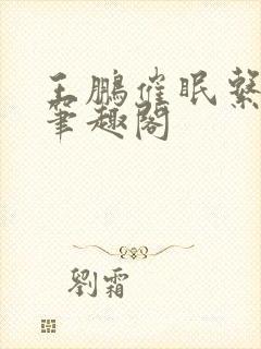 王鹏催眠系列新笔趣阁封面