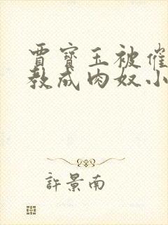 贾宝玉被催眠调教成肉奴小说