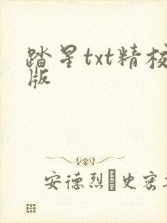 踏星txt精校版