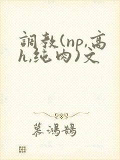 调教(np,高h,纯肉)文