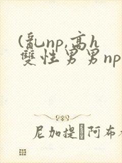 (乱np,高h双性男男np封面