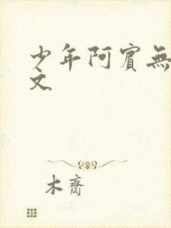少年阿宾无删全文封面