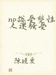 np总受双性万人迷骚受