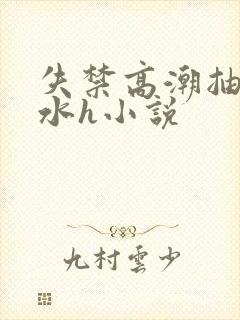 失禁高潮抽搐喷水h小说