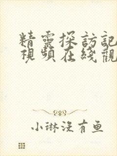 精灵探访记动漫视频在线观看封面