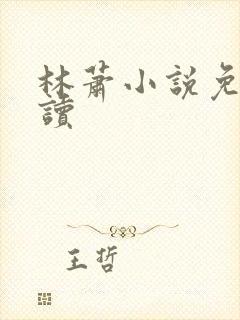 林萧小说免费阅读