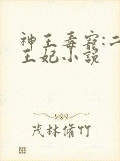 神王毒宠:二嫁王妃小说