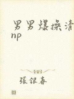 男男爆操清冷受np