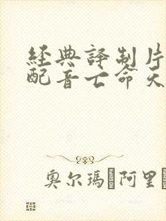 经典译制片国语配音亡命天涯