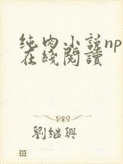 纯肉小说np文在线阅读