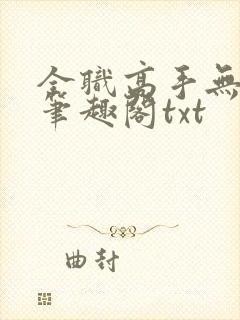 全职高手无弹窗笔趣阁txt