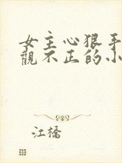 女主心狠手辣三观不正的小说