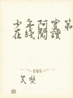 少年阿宾第一章在线阅读