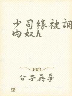 少司缘被调教成肉奴h