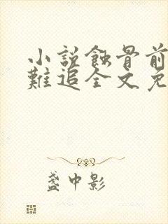 小说蚀骨前妻太难追全文免费阅读