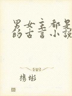 男女主都是将军的古言小说