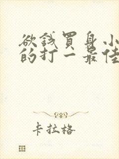 欲钱买身小脚小的打一最佳生肖