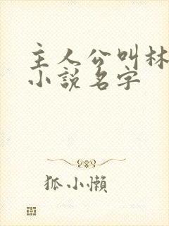 主人公叫林天的小说名字